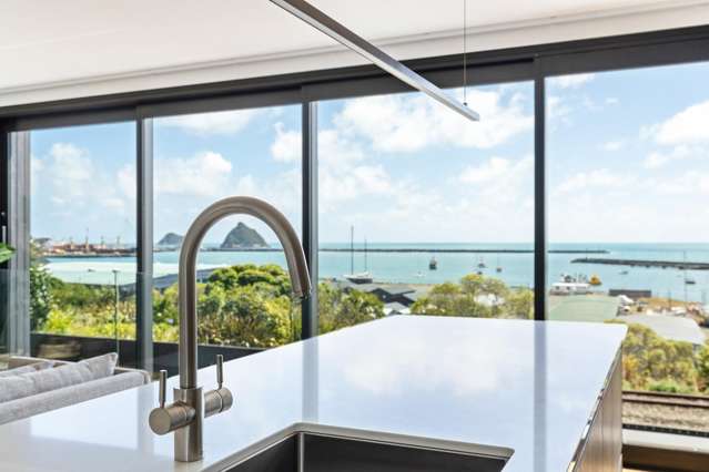 10A Whiteley Street Moturoa_1