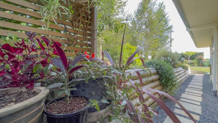 24 Banks Road Matamata_31