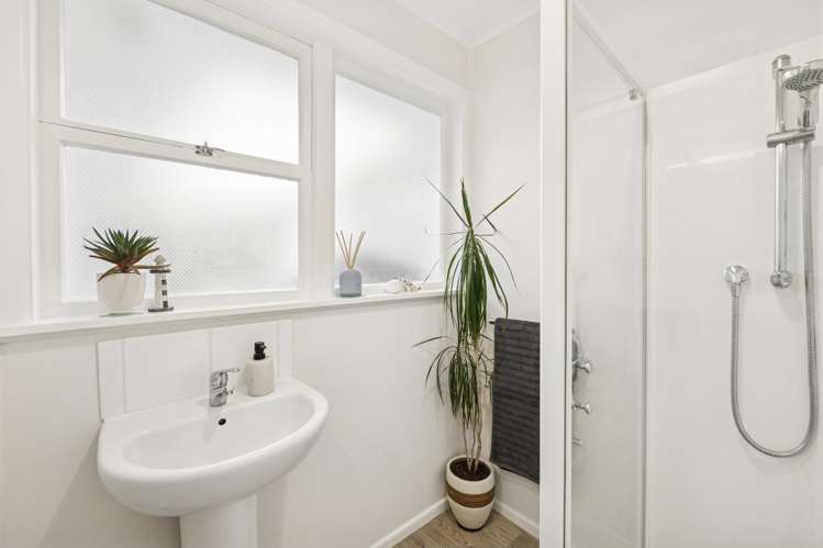 12 Galbraith Street Springfield_10