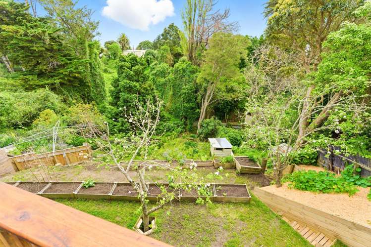 14 Plunket Street Durie Hill_21