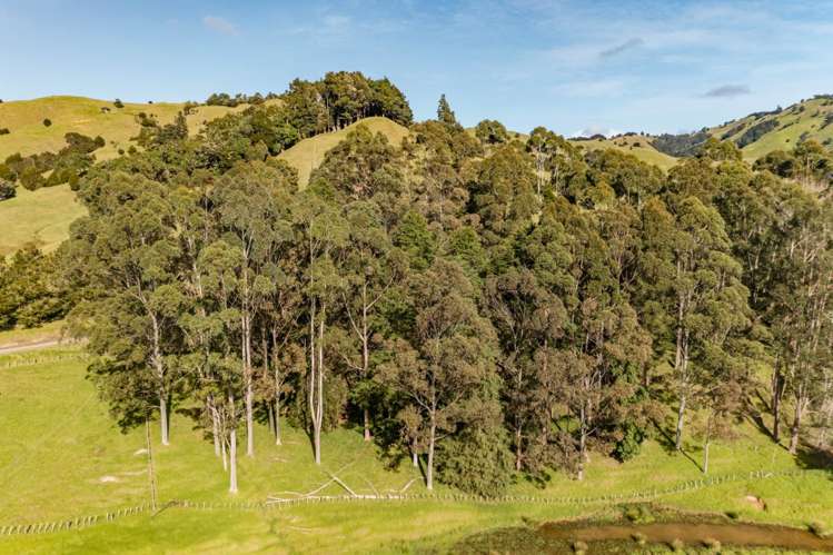 247 Mangataraire Road Horeke_27