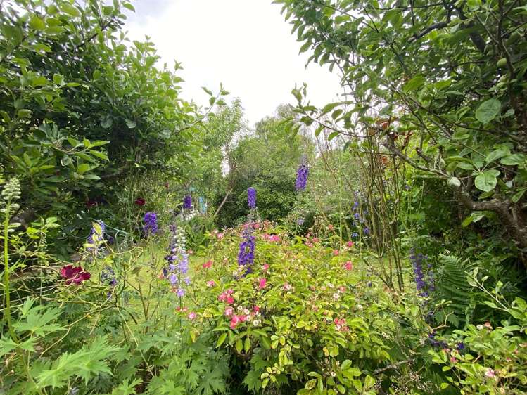 67 Mckenzie Street Geraldine_12