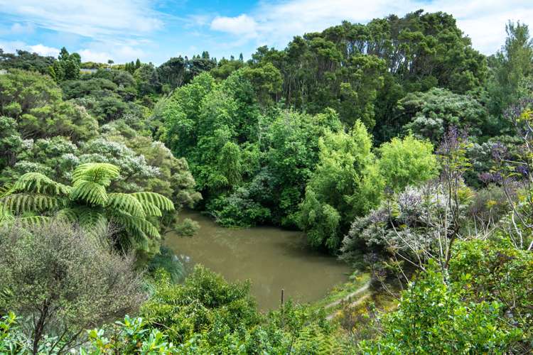 86 Mahana Road Waimauku_23