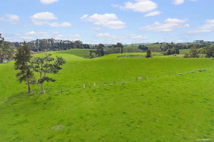 139 Dominion Road Tuakau_30