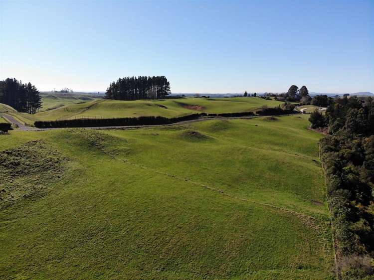 Te Waerenga Road Hamurana_4