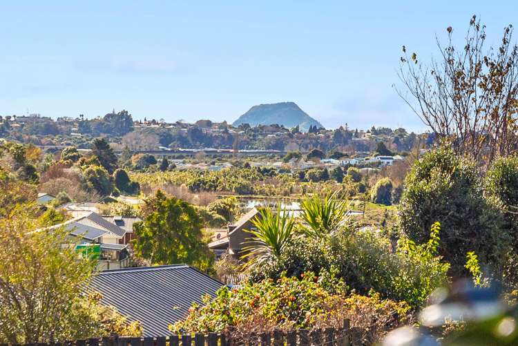 111 Hynds Road Gate Pa_17