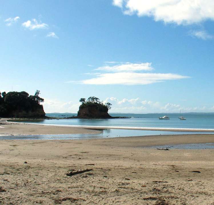 1/49a Hebron Road Waiake_28