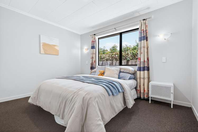 11 Kiwi Street Bird Area_11