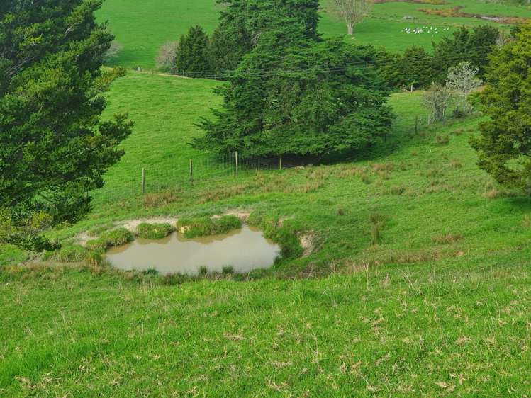 Curd Road Maungakaramea_11