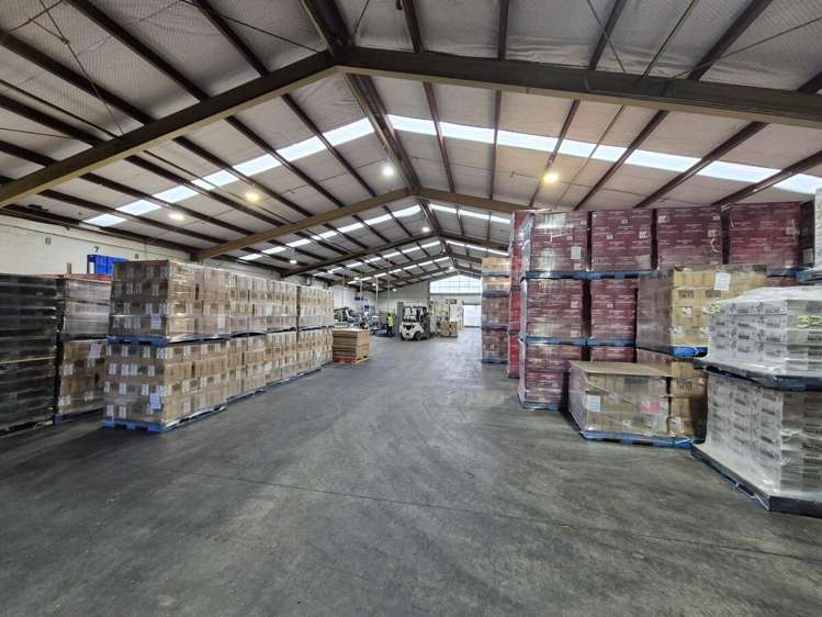 9A Sheffield Street Paraparaumu_3