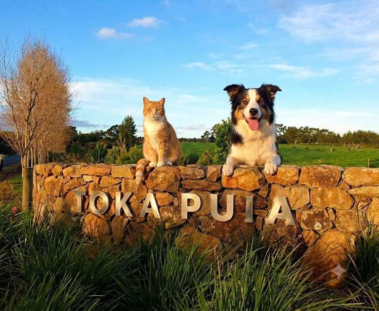 Waiare Road Okaihau_29