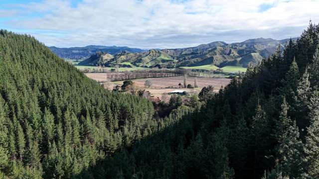 Okirae Road Mangamahu_1