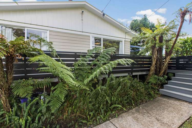 41 Kitewaho Road Swanson_34