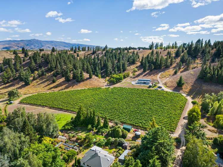 40a Waldron Road Alexandra_18