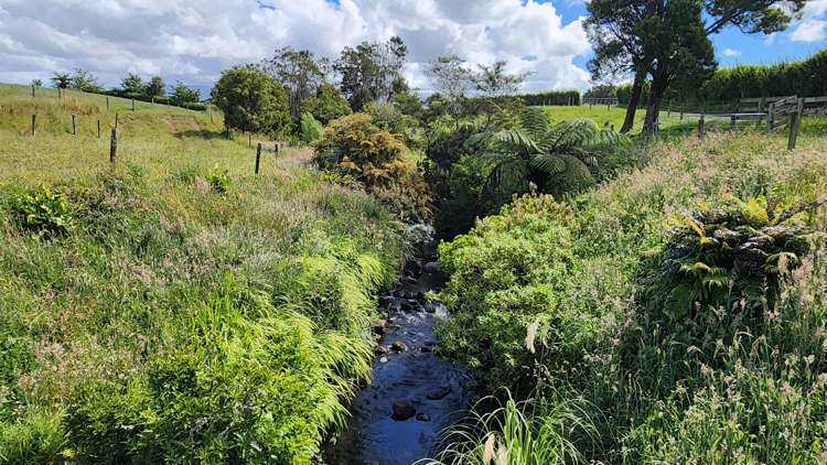 71 Lepper Road Inglewood_12