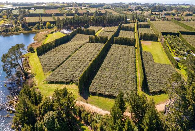 195A Tuapiro Road Katikati_3