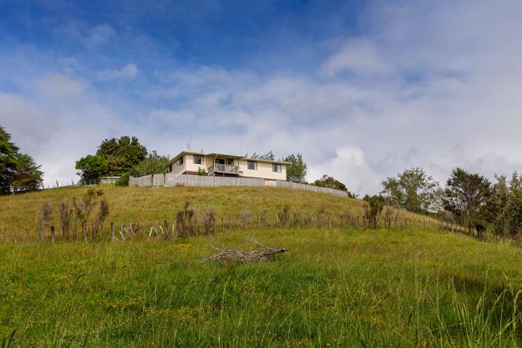 81 Grange Street Warkworth_21