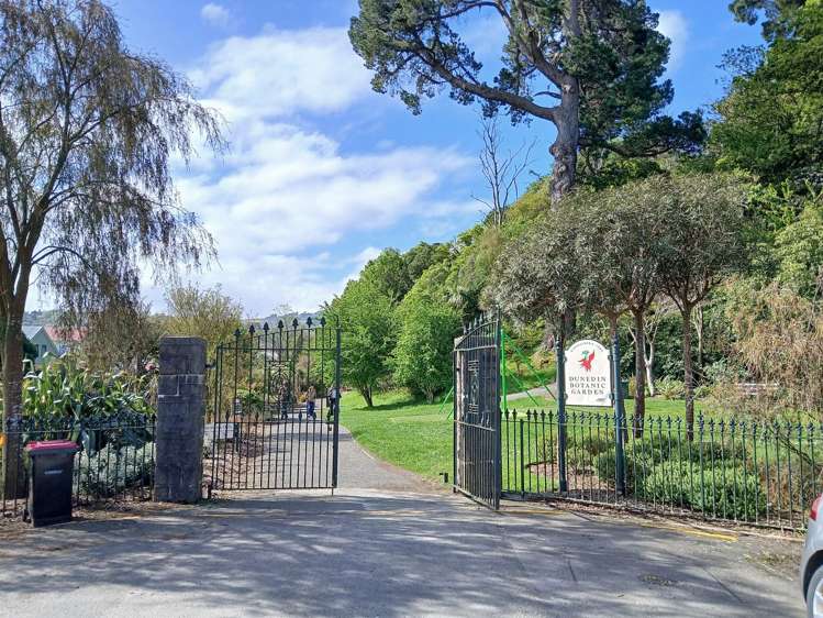 98 Dundas Street North Dunedin_18