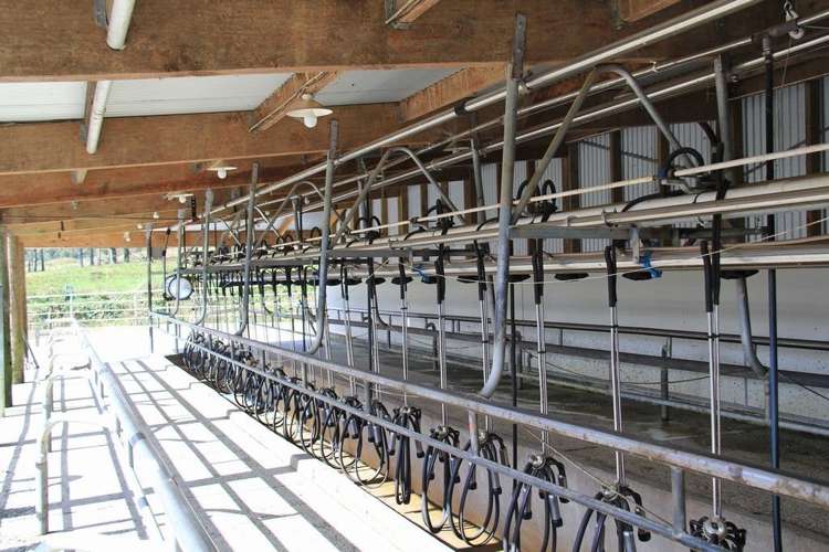 Karamea Highway Karamea_2