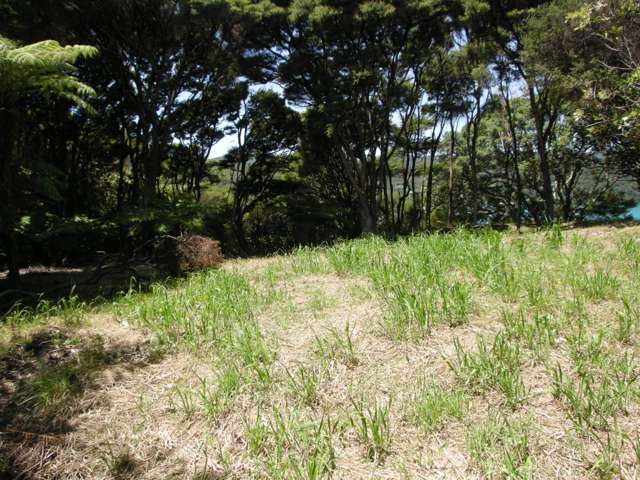 62 Puriri Bay Road Great Barrier Island (Aotea Island)_4