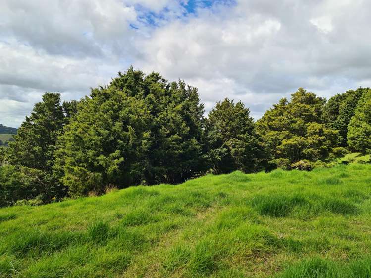 504 Wairere Road Paparoa_35