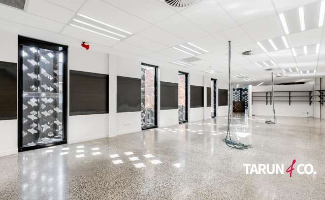 54 Pollen Street Grey Lynn_2