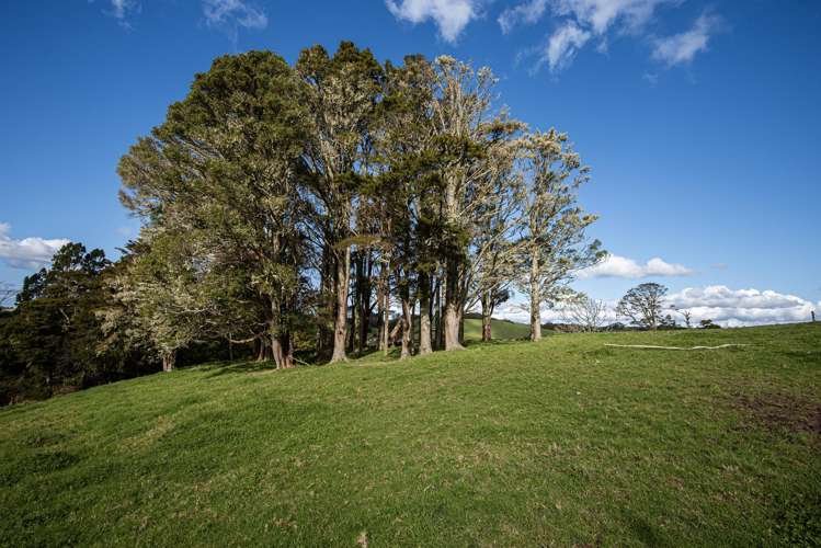 1043 Whananaki North Road Opuawhanga_12