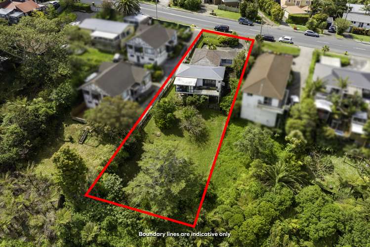 124 Carlisle Road Browns Bay_7