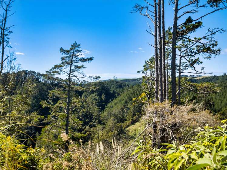 225 Rocky Cutting Road Papamoa_28