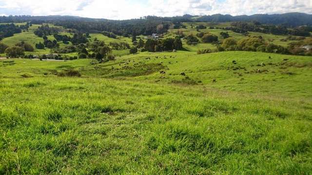 Otaika Valley Road Otaika_1