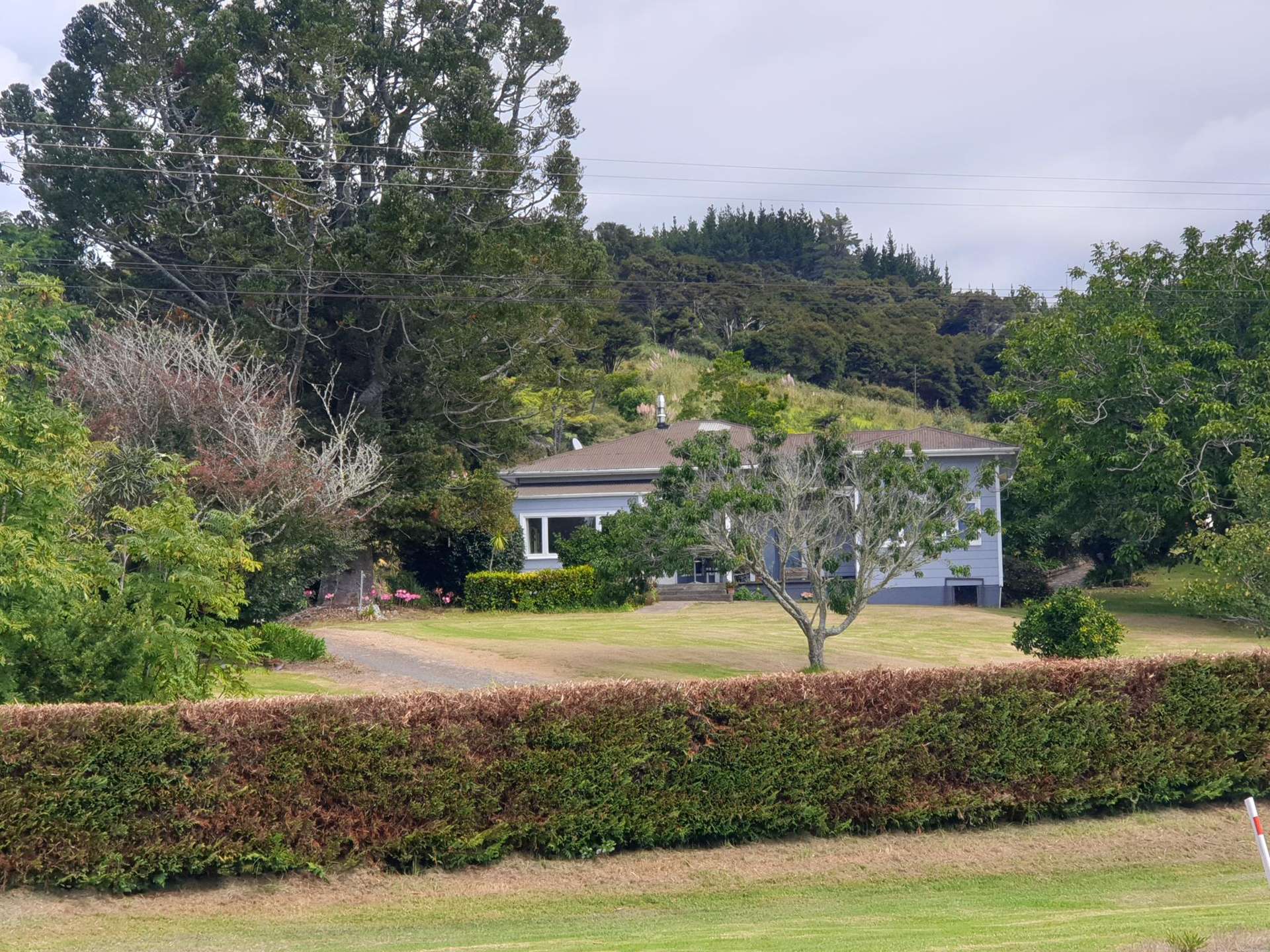 1246 Whangapoua Road SH25 Te Renga Te Rerenga_0