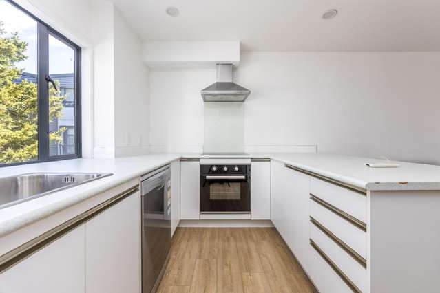 20 Sudbury Terrace Parnell_2