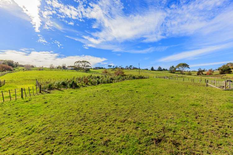 53 Follies Way Dairy Flat_10