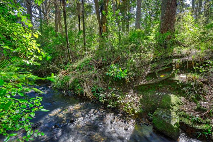 4b Rua Road Mangawhai_33