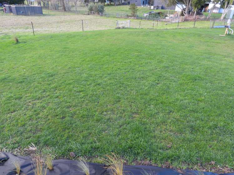 17 Pembroke Street Avondale_1