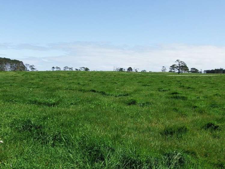 762 Pouto Road Te Kopuru_6