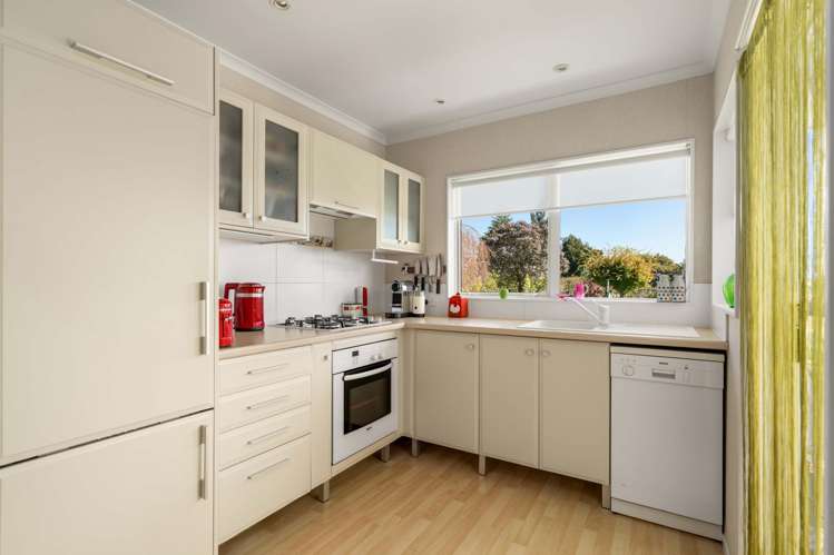 359C Hereford Road Oropi_6