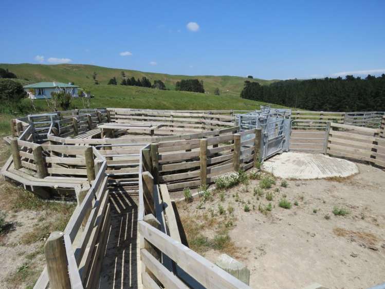 602 Esdaile Road Pongaroa_11