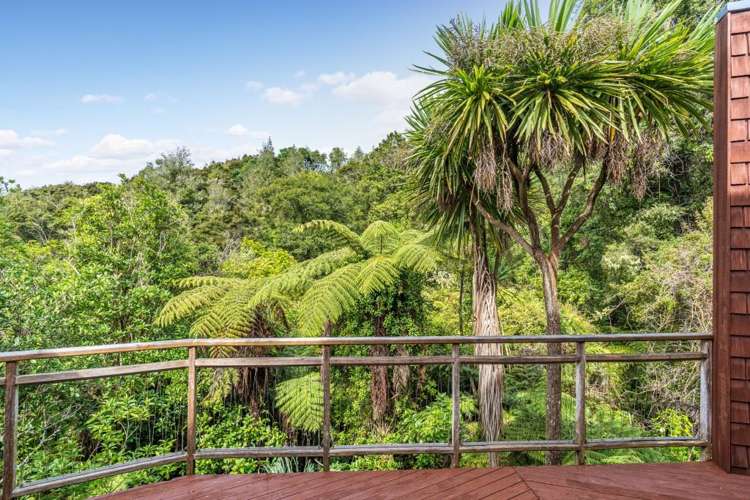 31 Homewood Place Chatswood_6