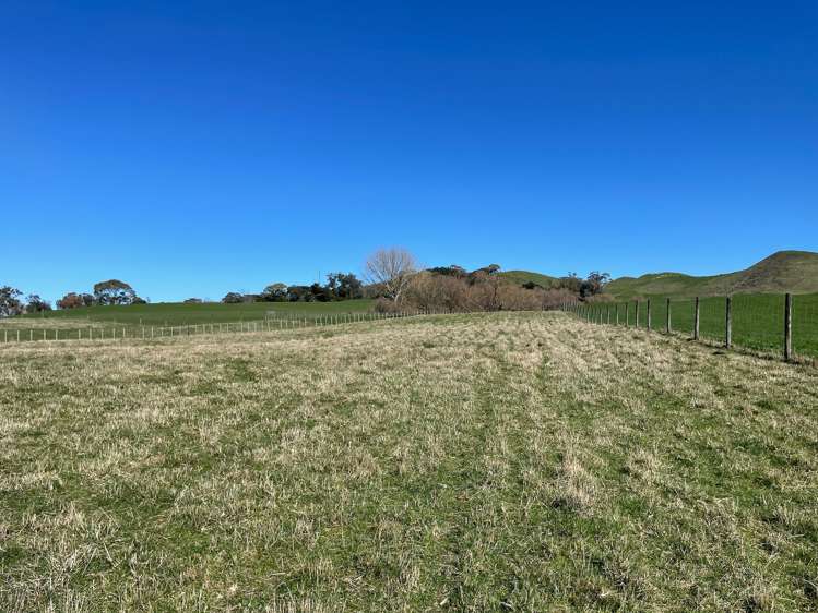 Lot 1and2 324 Homewood Road Waipawa_8