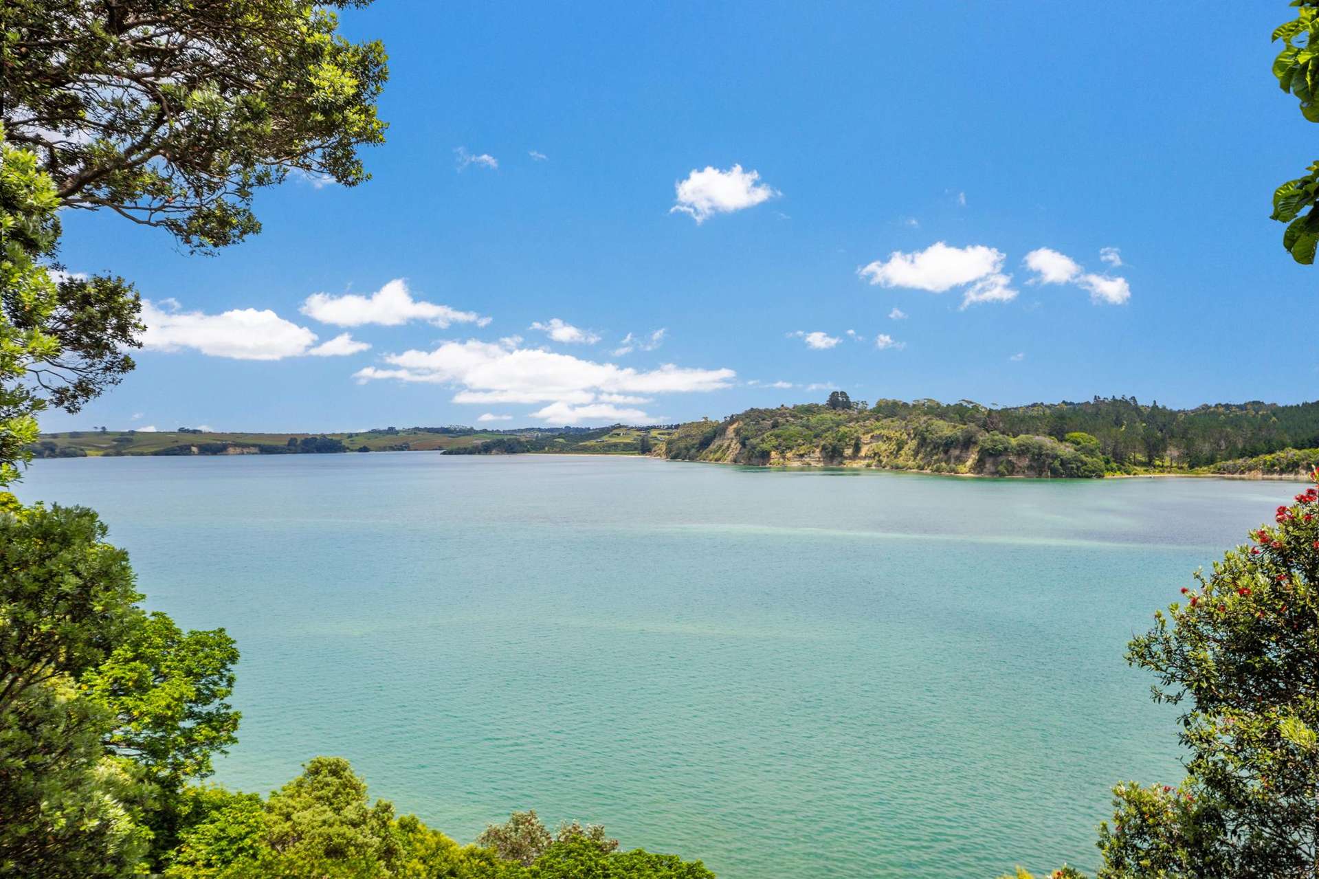 238 Wade River Road Arkles Bay_0