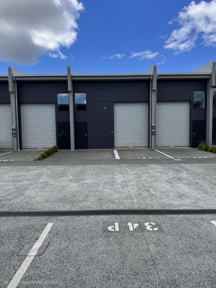 6/4 Spring Garden Avenue Westgate_21