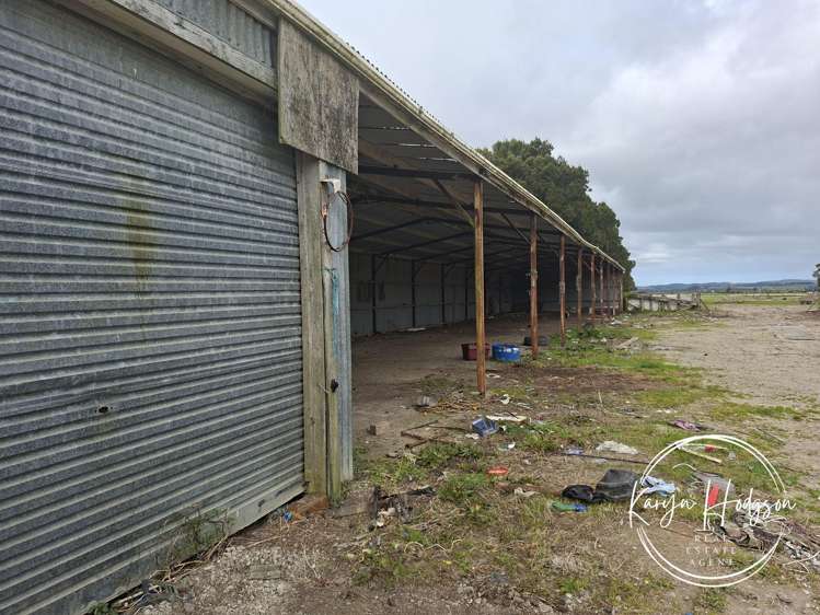 254 Galvin Road Ruawai_15