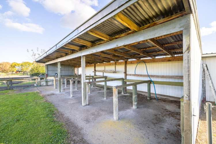 1/93 Peake Road Cambridge_12