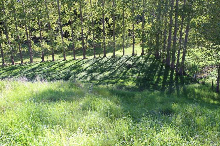 117 Taipuha Road Mangapai and Surrounds_6