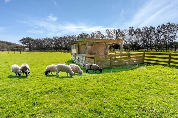 48 Elizabeth Street Waikanae_36