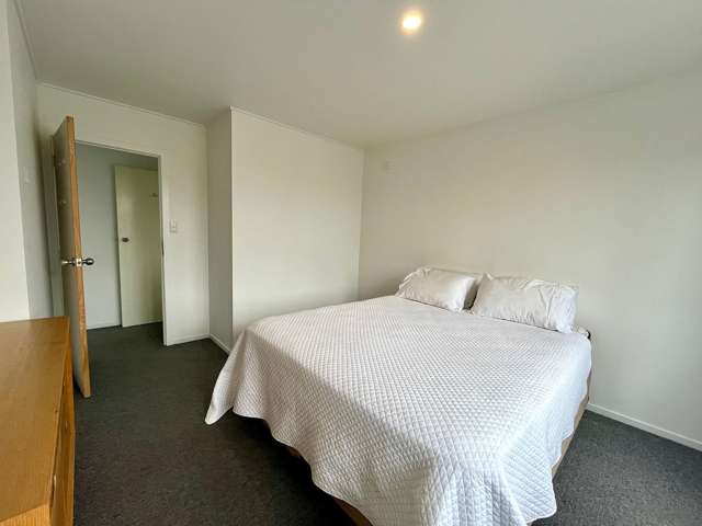 1/19 Sefton Street Havelock North_2