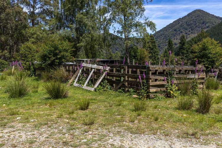 1025 Wakamarina Road Havelock_28