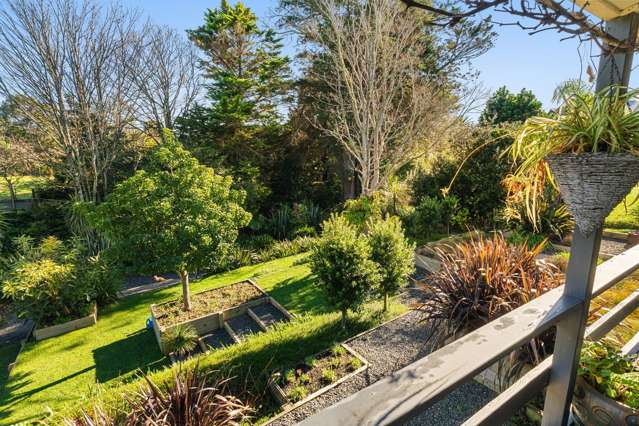110 Harris Street Inner Kaiti_4