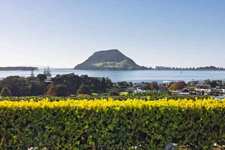 1/20 Pillans Road Otumoetai_19